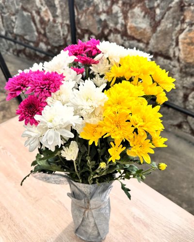 Chrysanthemum Charm – Mixed Mums in Vase
