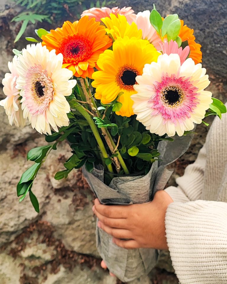 Gerberas-Forest1