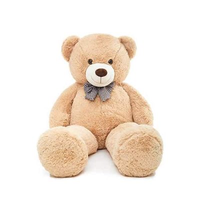 A Teddy Bear