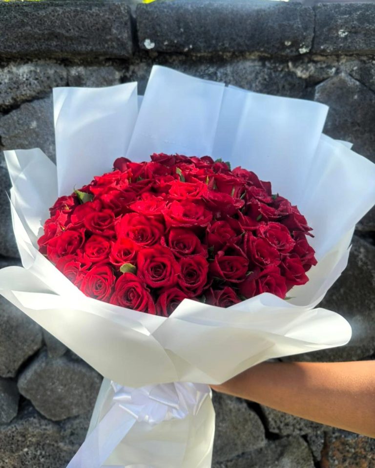 Hypnotic Red Roses Obsession1